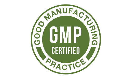 Nuerosurge-gmp